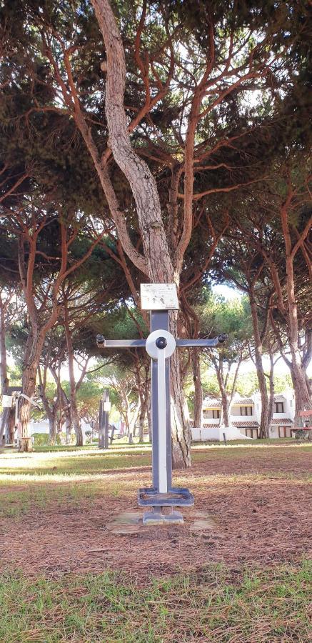 Estudio Na Falesia Albufeira Dış mekan fotoğraf